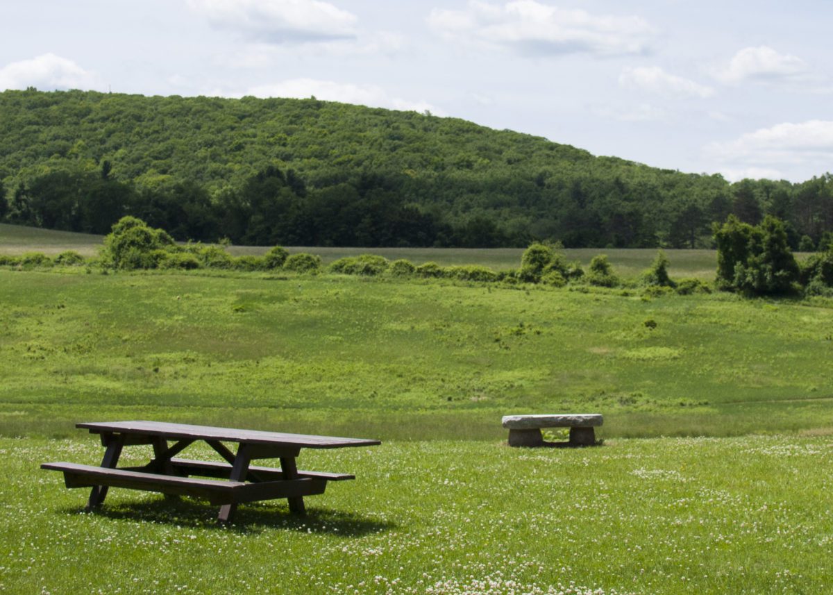 Danbury's Largest Park picnic table and stone bench overlooking green hayfields